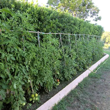 Aparthotel Residenza La Limonaia 4*