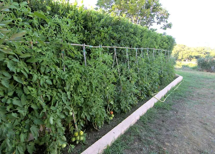 Ξενοδοχείο με διαμερίσματα Residenza La Limonaia 4*